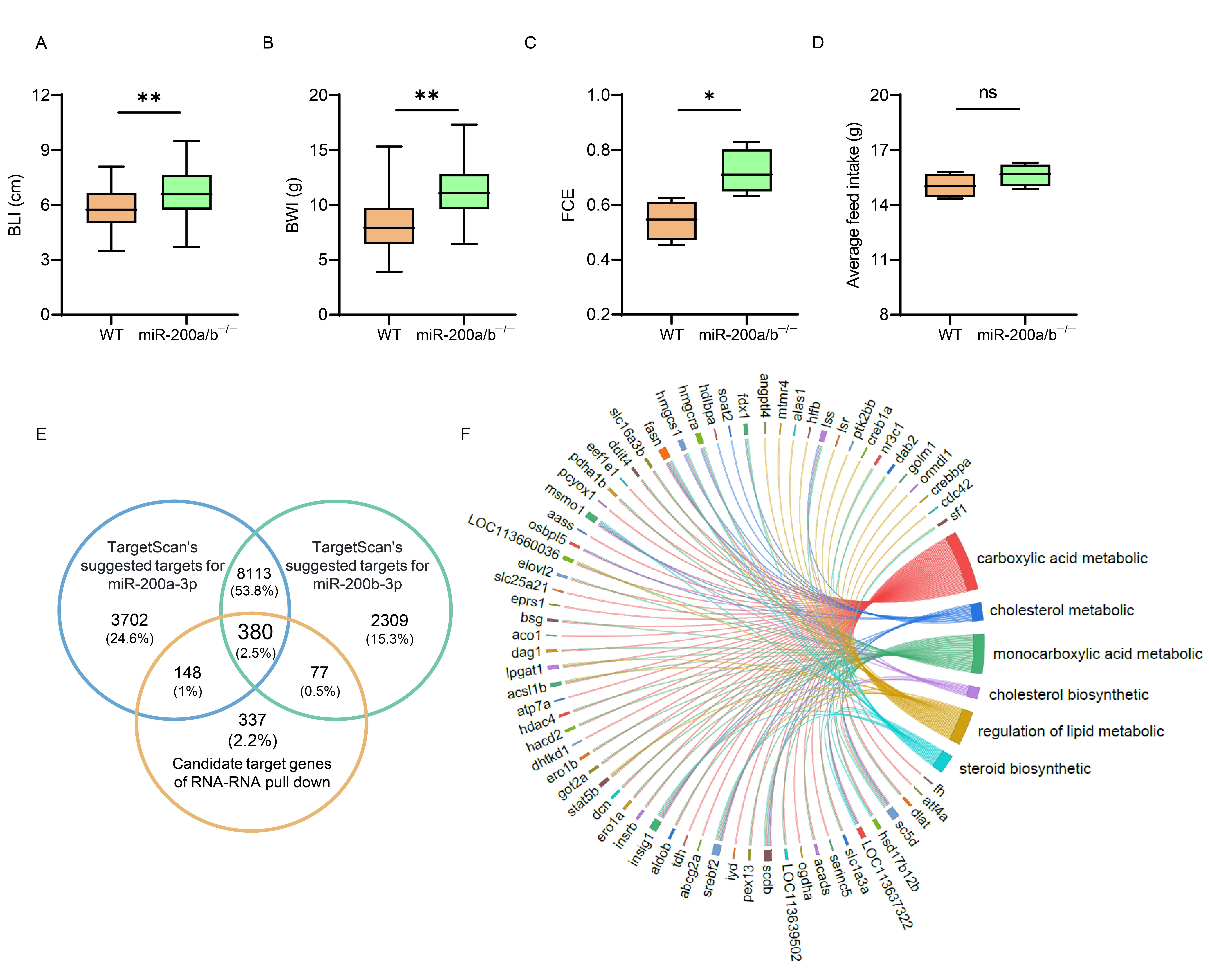 水生所揭示鱼类速生和高饲料转化率性状耦合机制